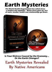 The Four Brothers DVD