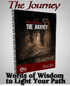 The Journey (Babamadizwin)
